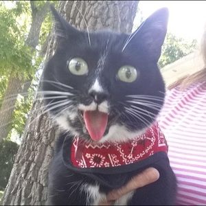 Meet your Posher, Kathryn